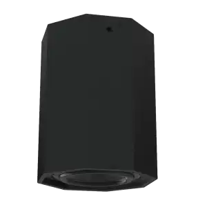 Innovox CPS12pt hanging pendant speaker