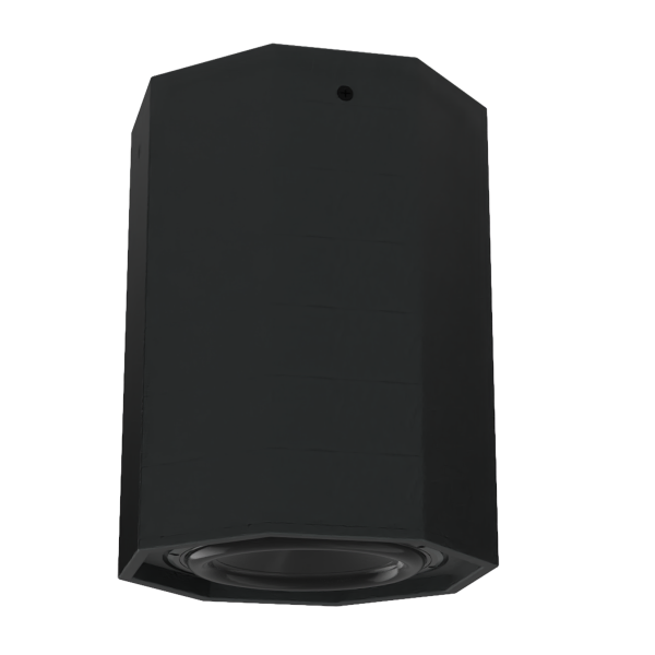 CPS12pt Innovox CPS12pt hanging pendant speaker
