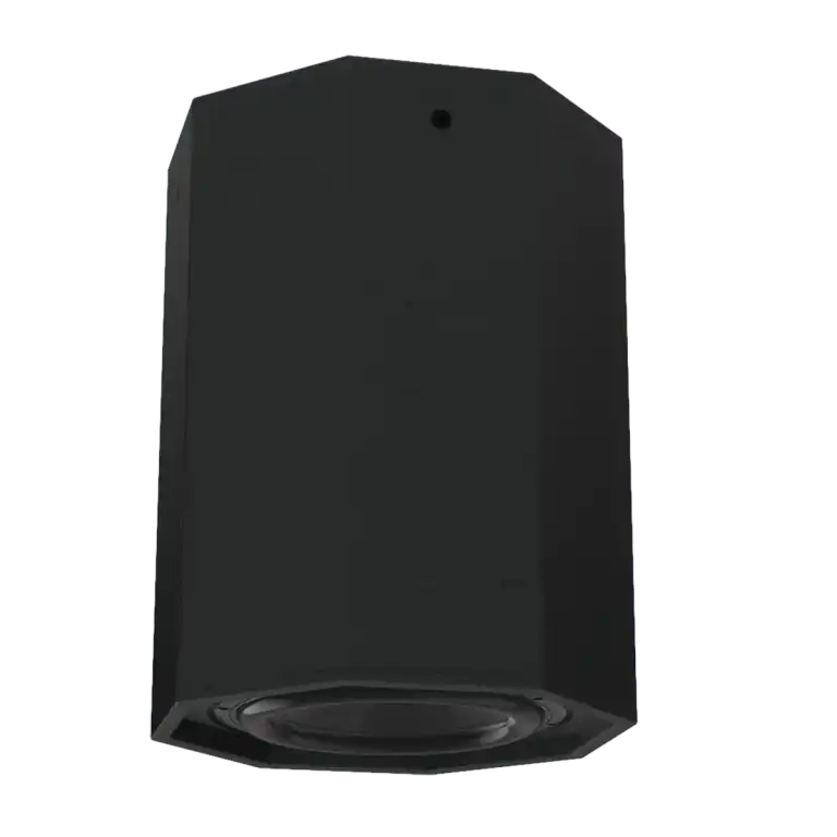 Innovox CPS12pt hanging pendant speaker