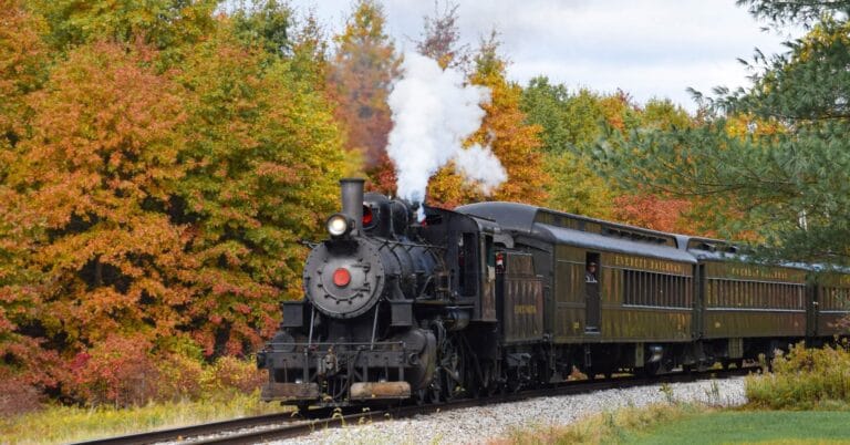 Steam train passing through autumn foliage