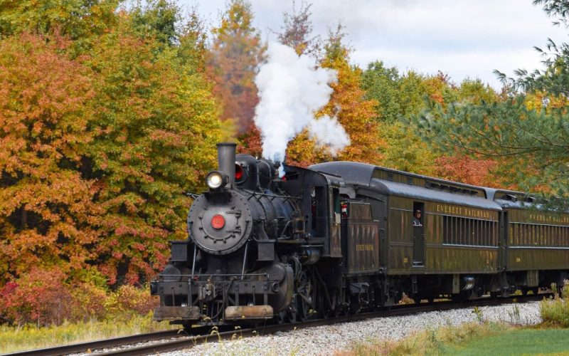 Steam train passing through autumn foliage